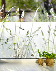 Fensterfolie Sichtschutzfolie Motiv
Gras