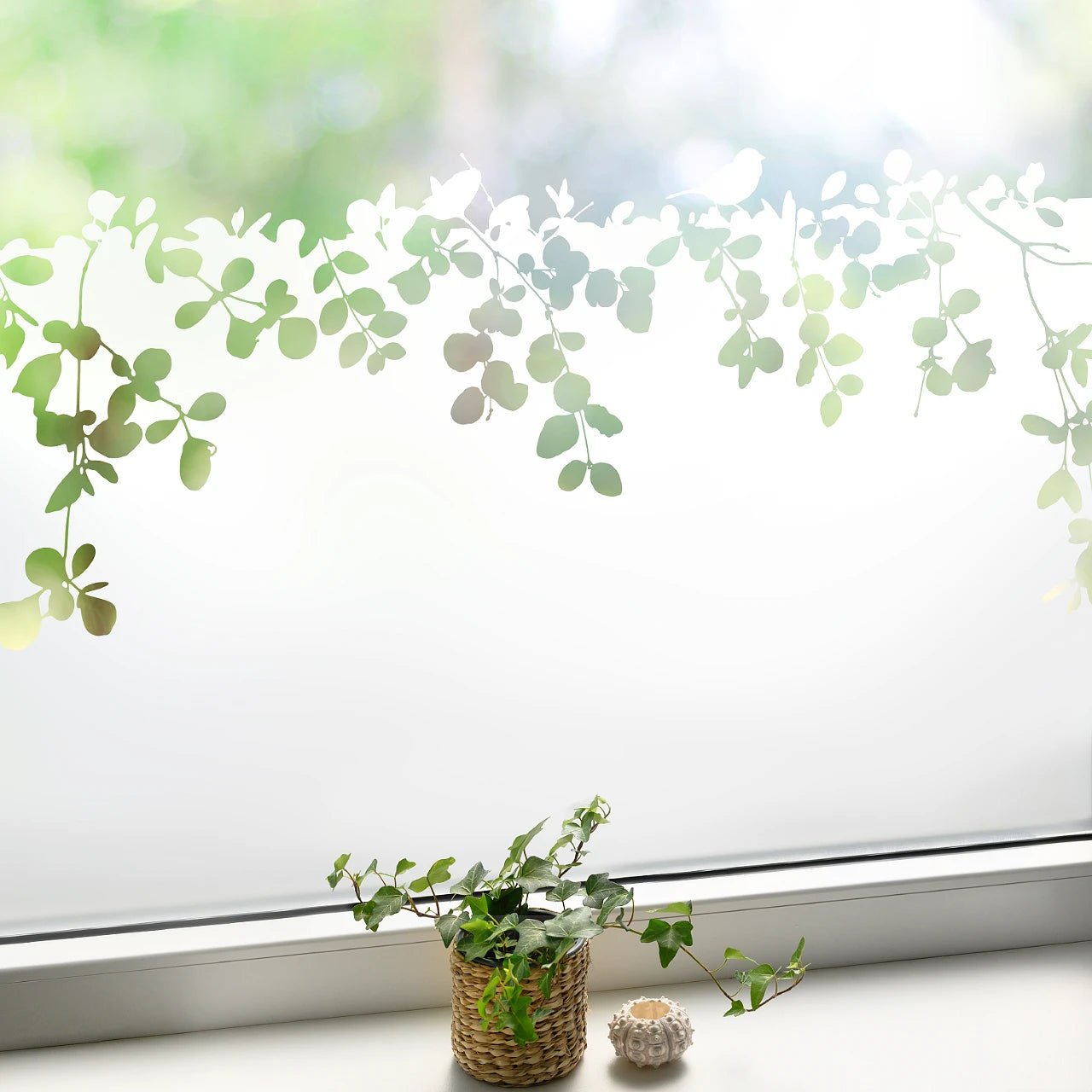 Fensterfolie Sichtschutzfolie