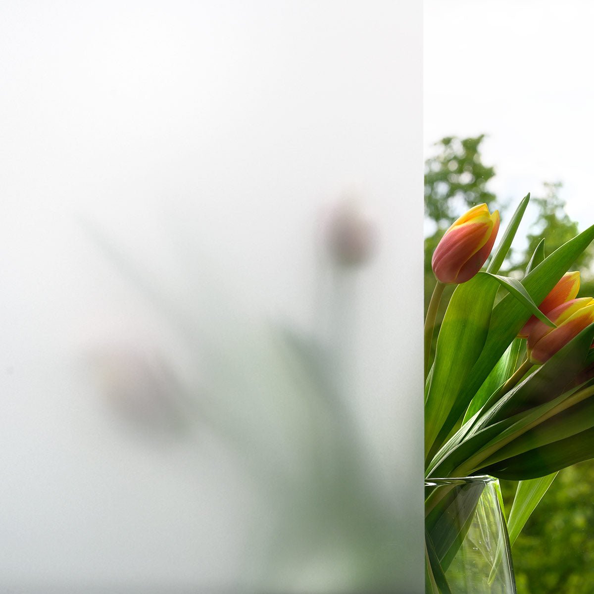 Premium Sichtschutzfolie nach Maß. – Grafolex