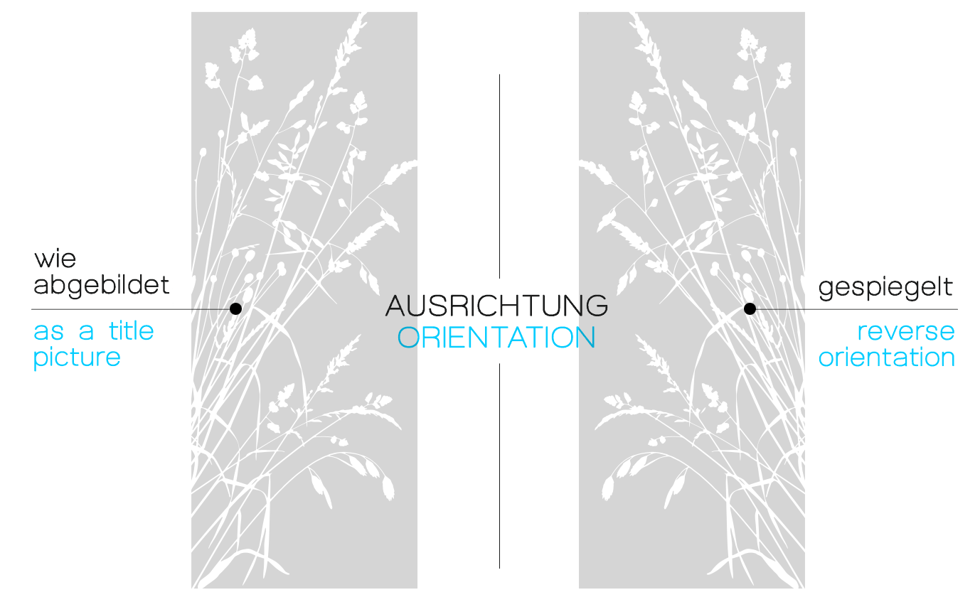 GlasdekorfolieGlasdekorfolie Glastürfolie "Gartengräser". Motiv G534