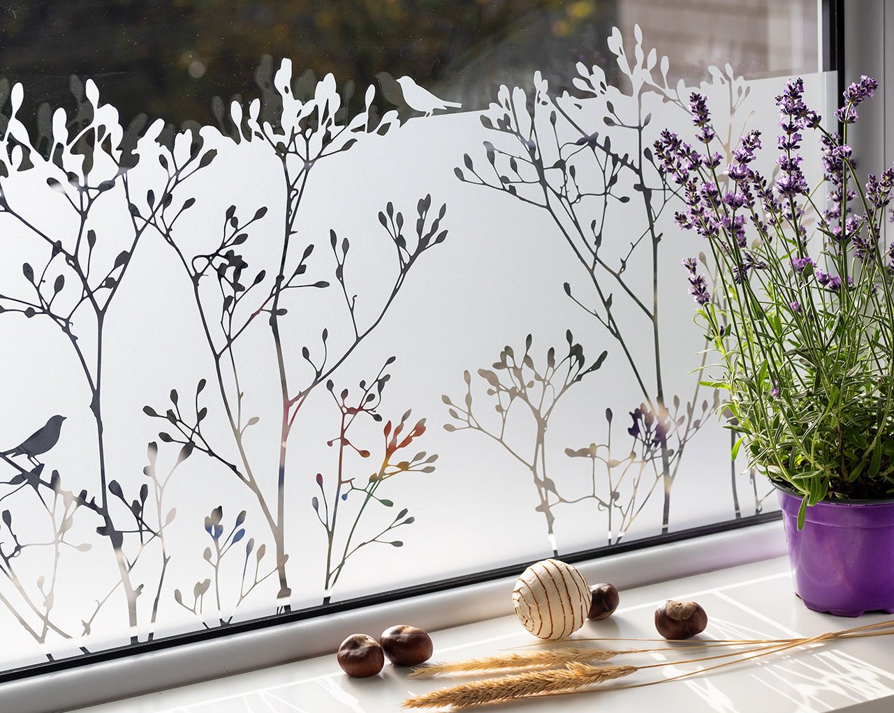 Lichtdurchlässige Fensterfolie. Motiv Gräser & Äste – Grafolex