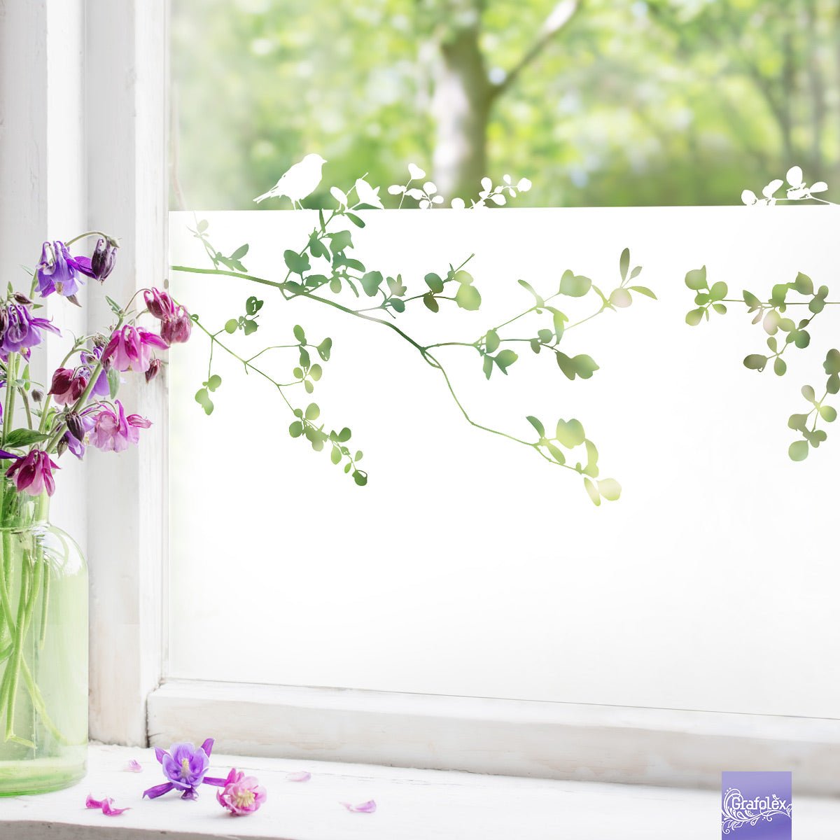 Folie für Fenster Äste und Vogel