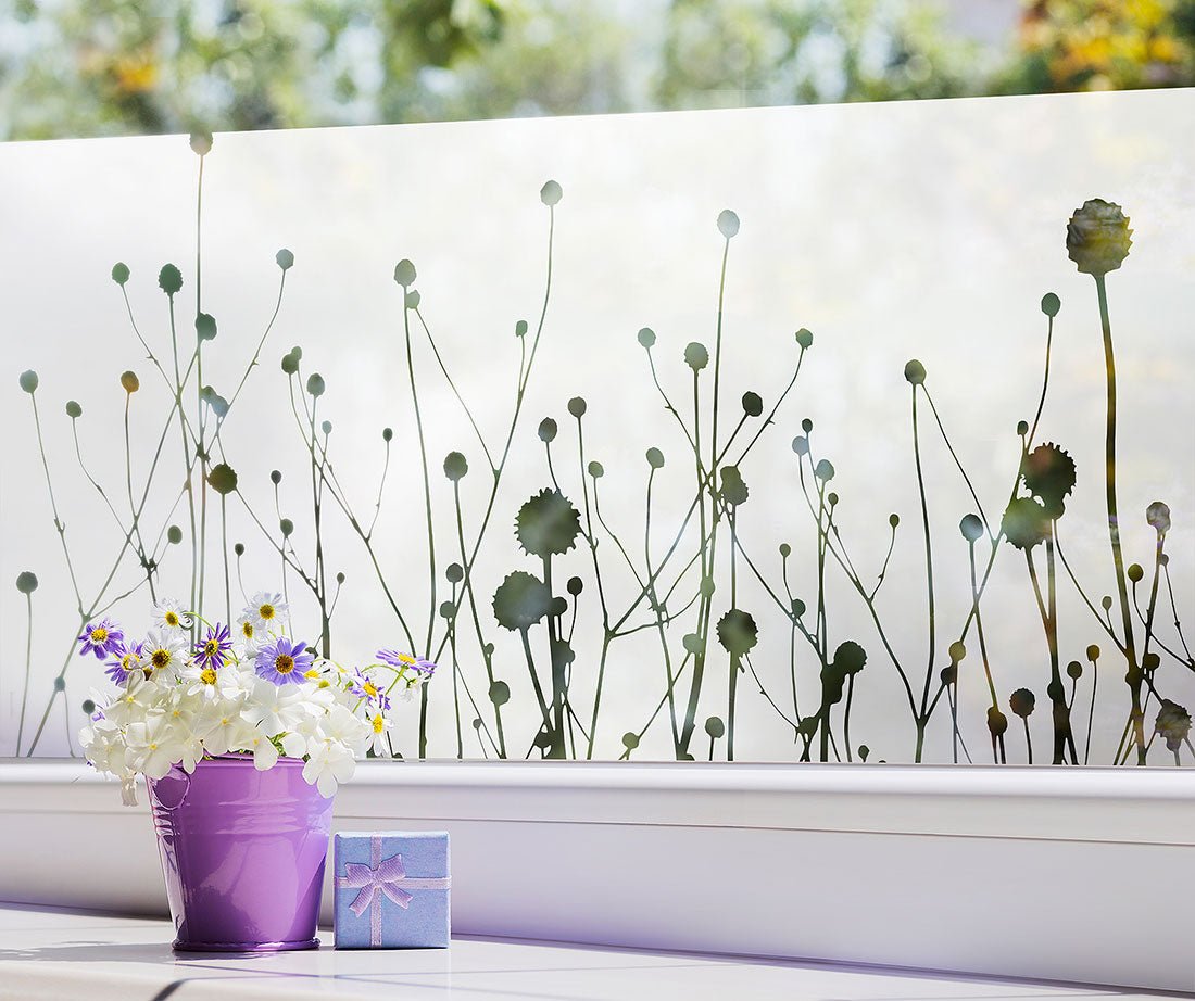 Fensterfolie "Ziergräser", Sichtschutzfolie Natur Motiv G419