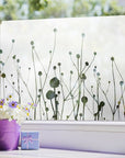 Fensterfolie "Ziergräser", Sichtschutzfolie Natur Motiv G419