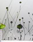 FensterfolieFensterfolie Ziergräser G419