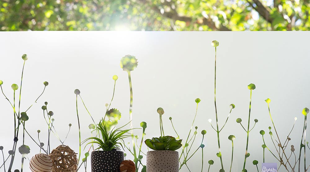 FensterfolieFensterfolie Ziergräser G419