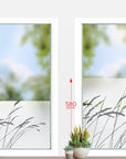 Heim & GartenGräser maritim G412
