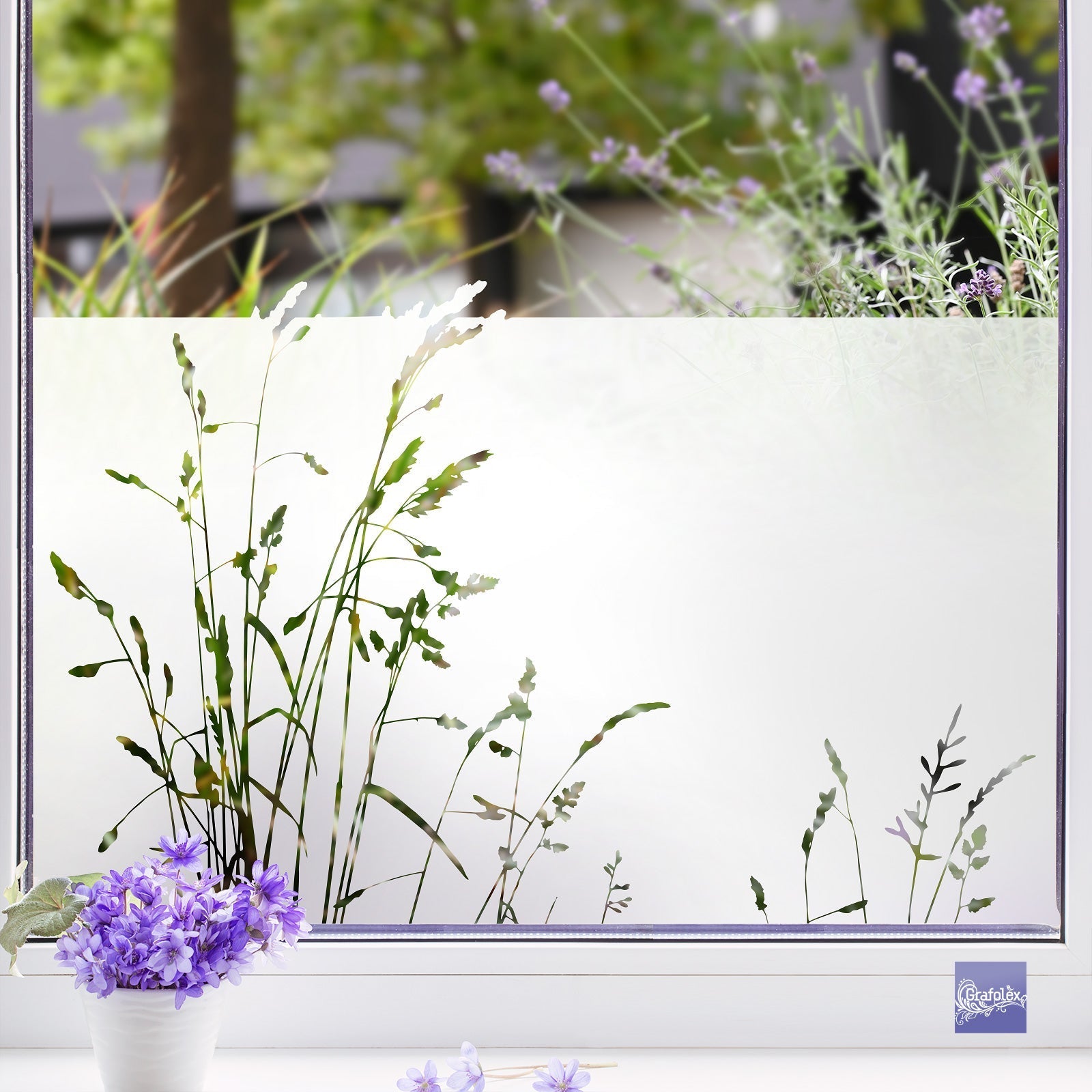 Fensterfolie Heimgräser- Sichtschutzfolie Milchglasfolie – Grafolex