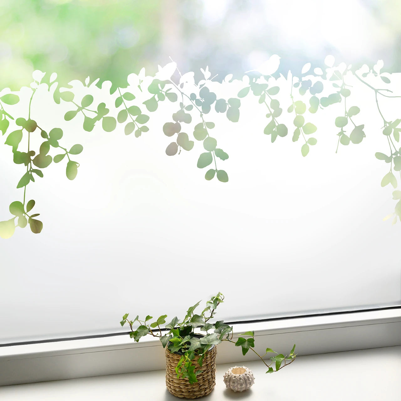 Fensterfolie Wildblumen & Gräser - Sichtschutzfolie G425 – Grafolex