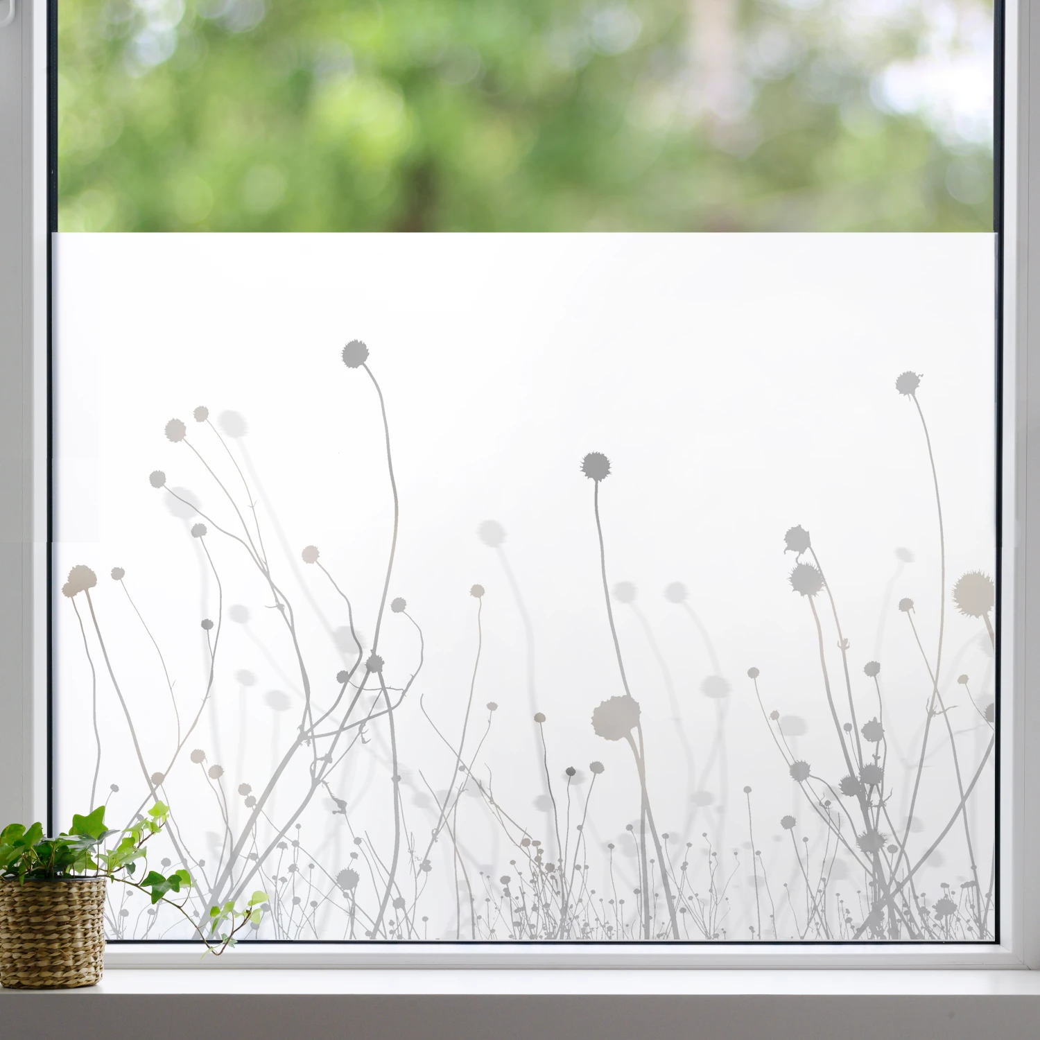 Bedruckte Fensterfolie. Motiv Gras G807