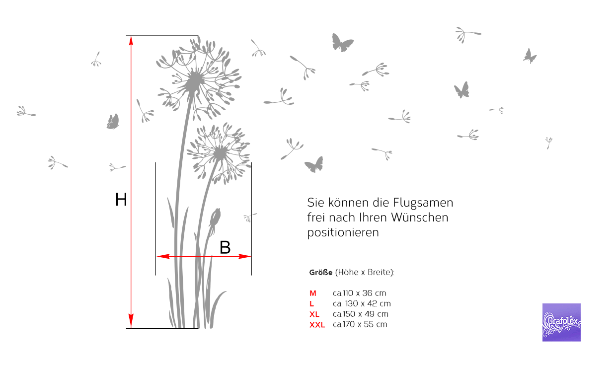 GlasdekorfolieGlasdekorfolie Pusteblume mit Samen. Motiv G332