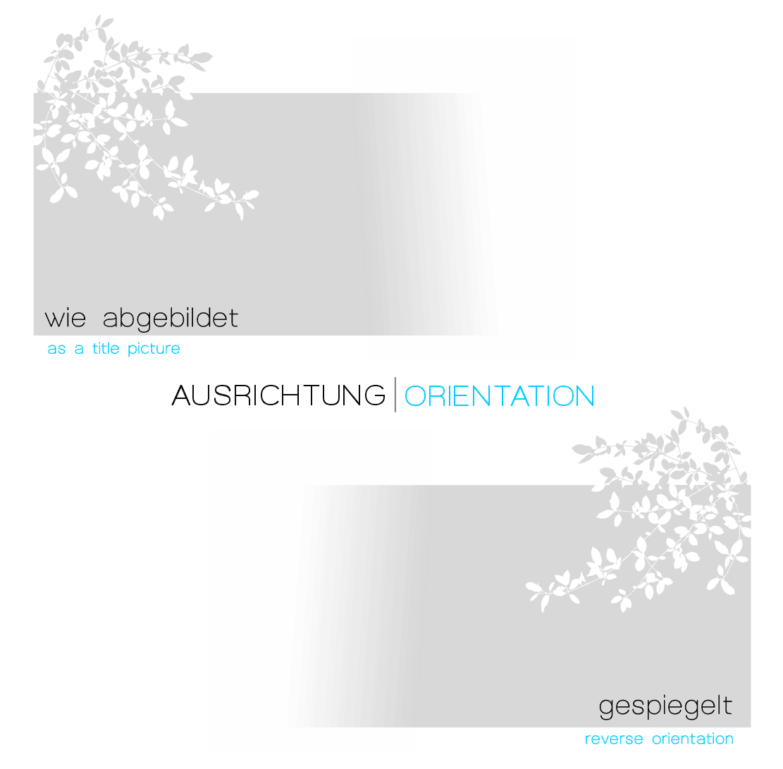 Fensterfolie  Äste Motiv G447
