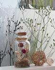 Fensterfolie Äste und Gräser G414