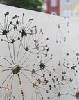 Pusteblume Fensterfolie G417