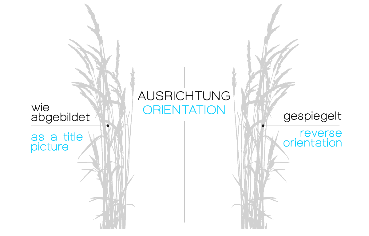 Glastür Folie Glasdekorfolie Gräser Z511